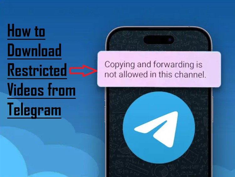Telegram电报 加好友被拒还限流？原来一天最多只能加这些人！