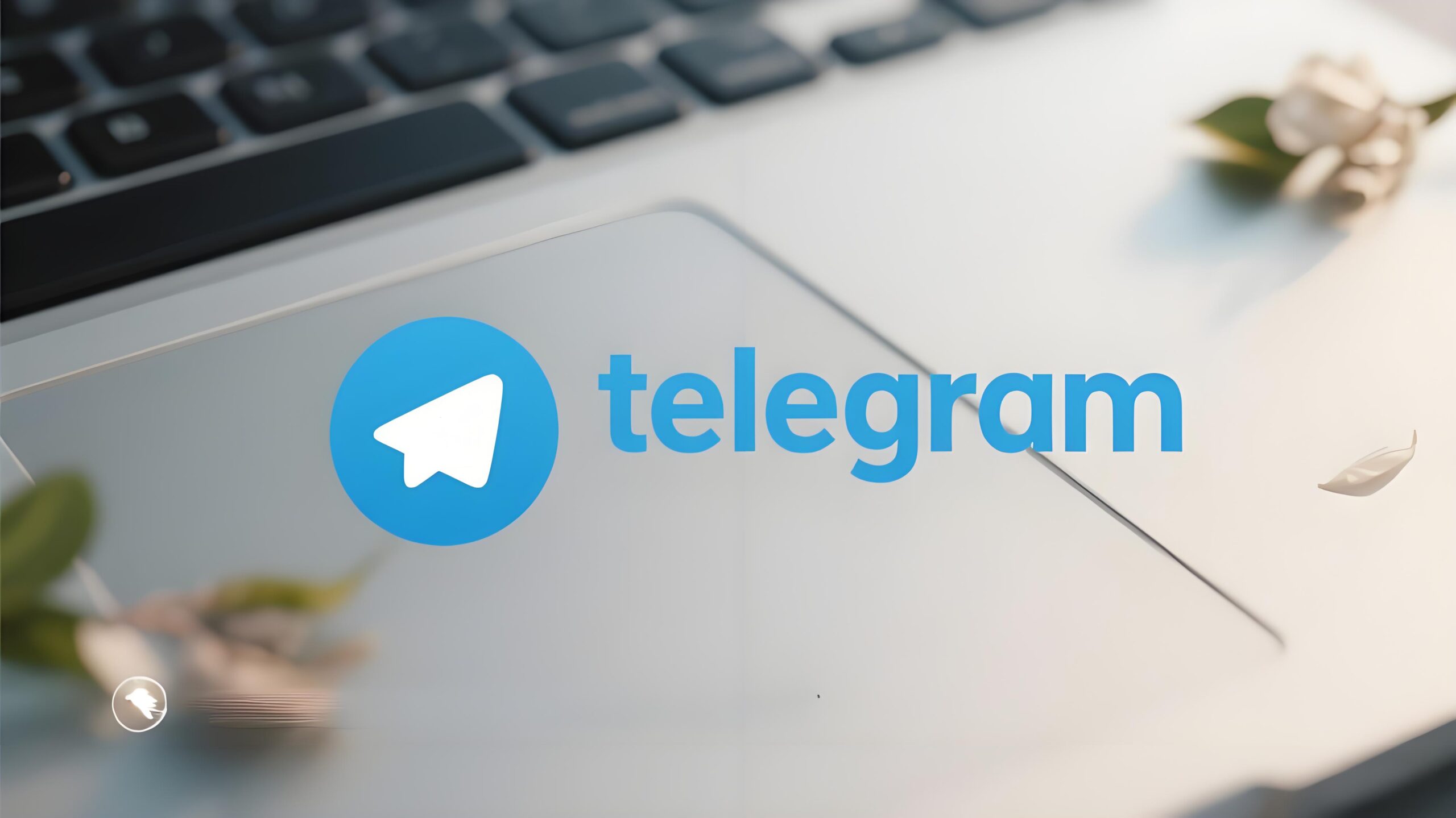 Telegram如何更新最快？90%用户都不知道的步骤