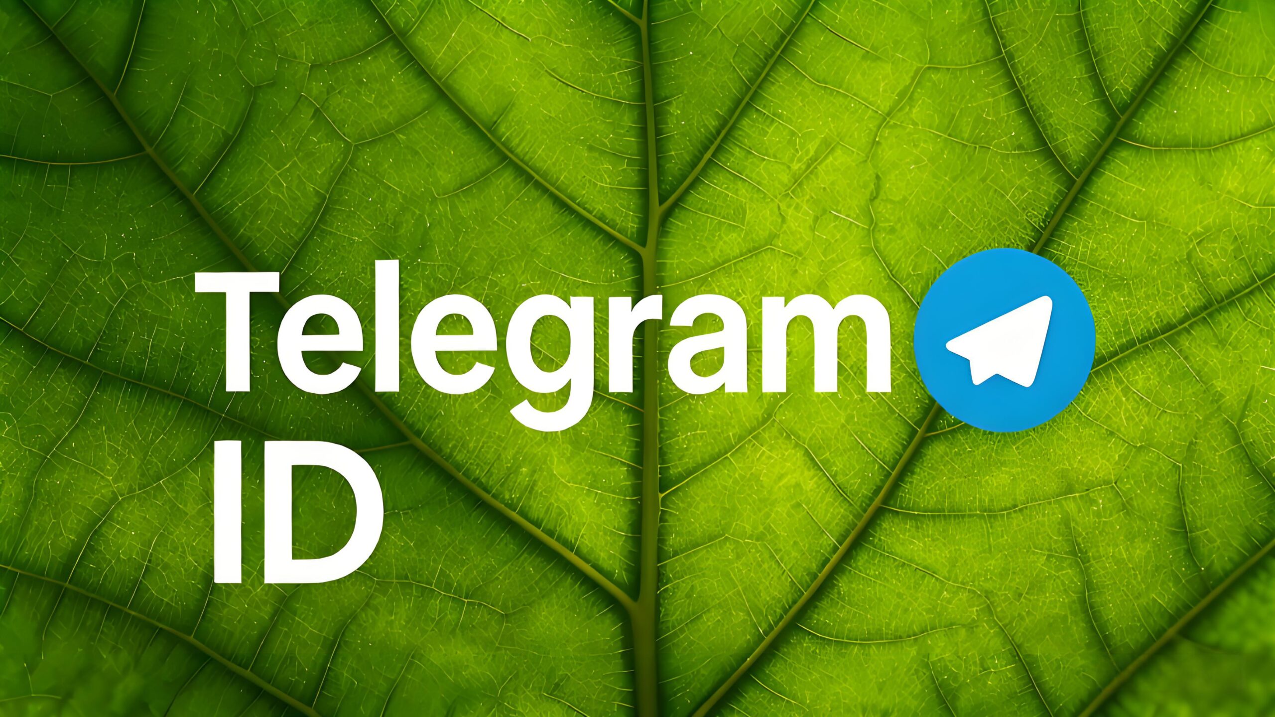 为什么Telegram ID很重要？完整说明