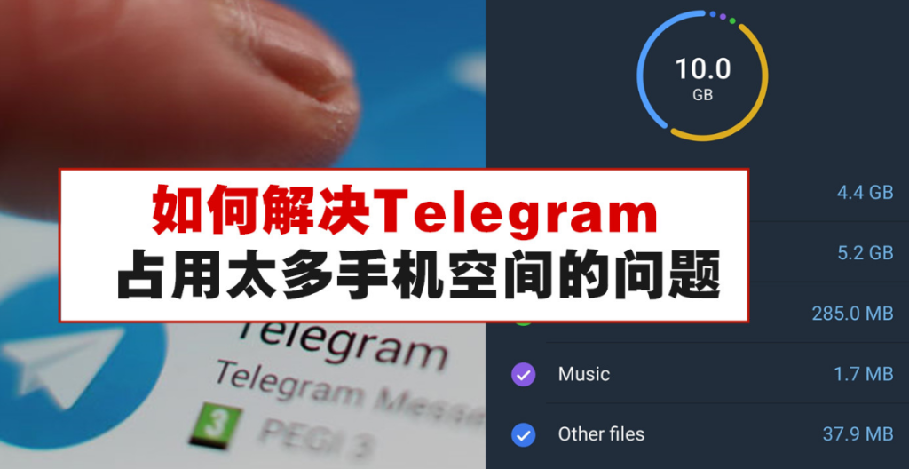 如何查看Telegram缓存的详细情况？