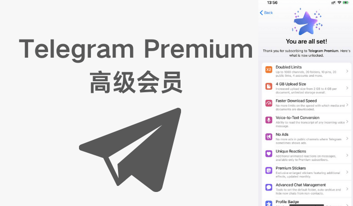 Telegram 会员能提升哪些体验