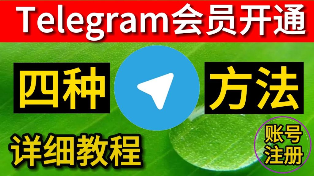 Telegram怎么购买会员？开通指南